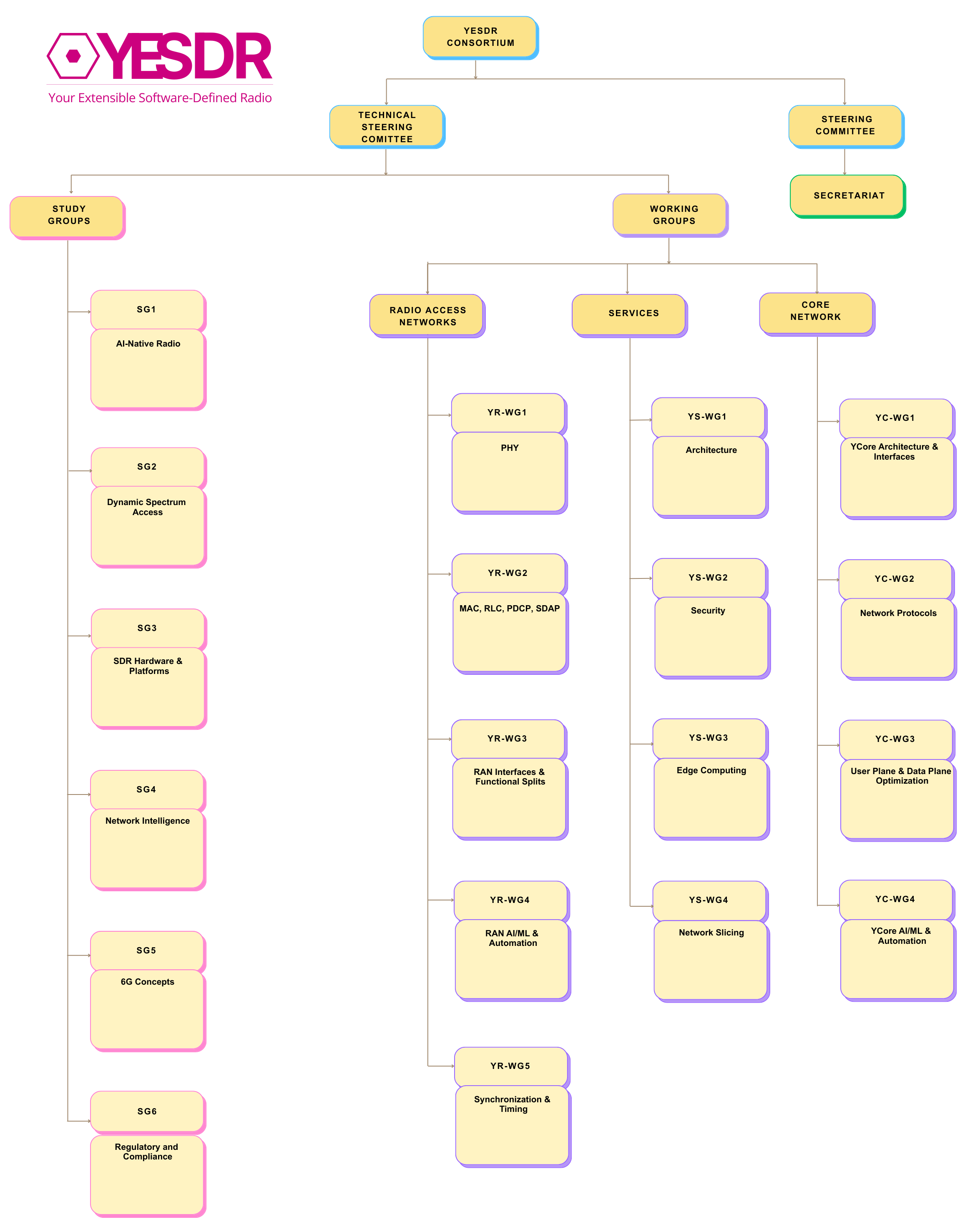 YESDR Organizational Structure